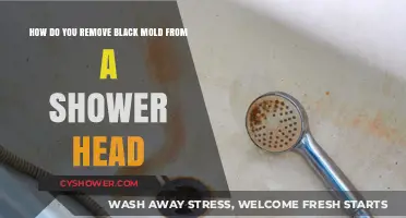 Effective Ways to Remove Black Mold from Your Shower Head