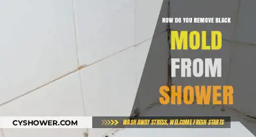 Effective Ways to Eliminate Black Mold from Your Shower Safely