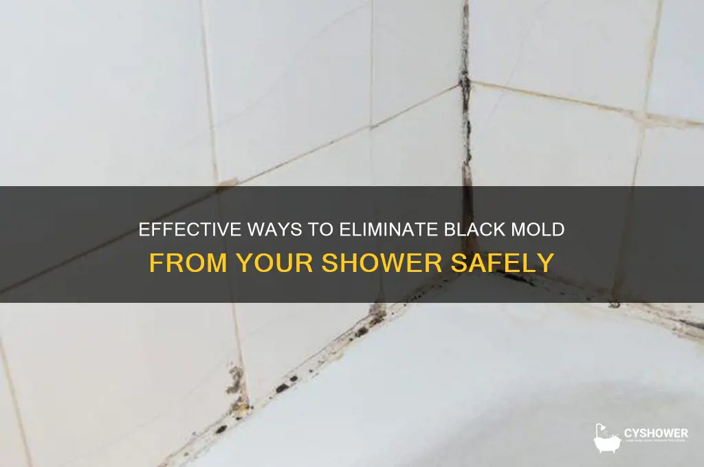 how do you remove black mold from shower