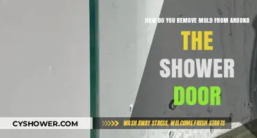 Effective Ways to Remove Mold Around Your Shower Door