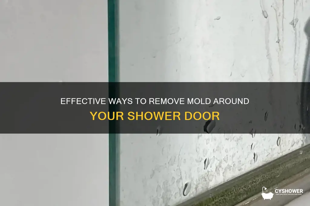 how do you remove mold from around the shower door
