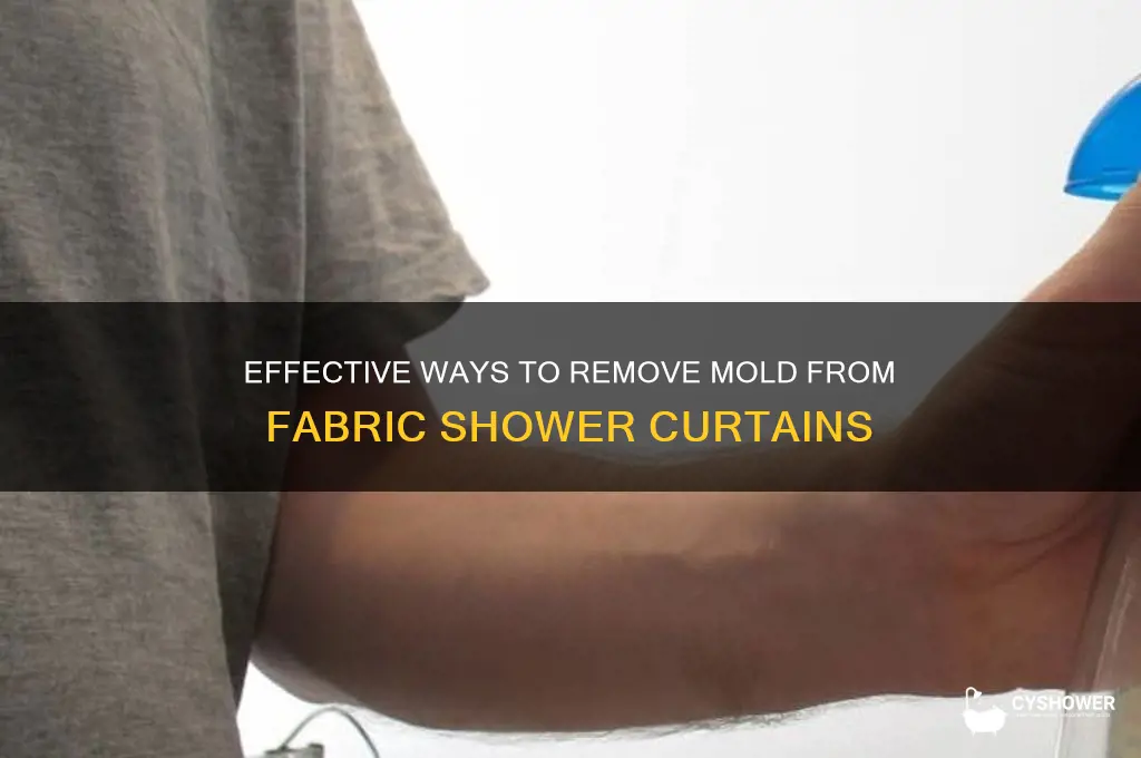 how do you remove mold from fabric shower curtain