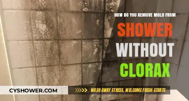 Effective Mold Removal Tips for Showers Without Using Chlorox
