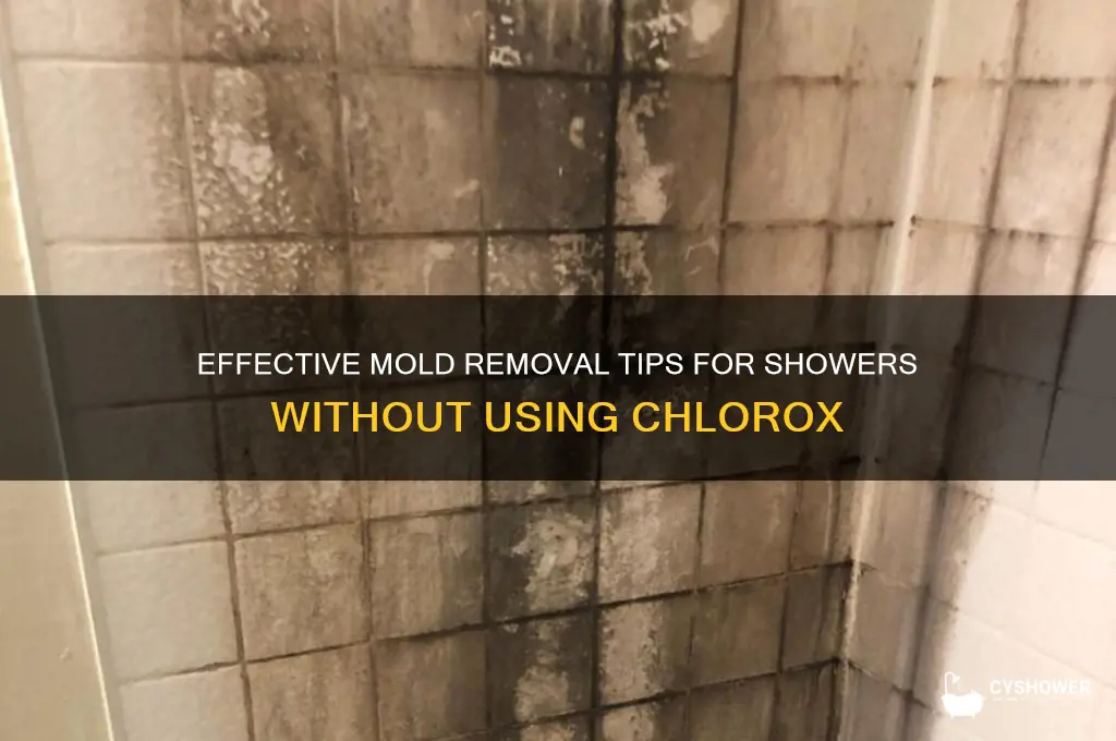 how do you remove mold from shower without clorax