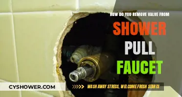 Easy Steps to Remove a Valve from Shower Pull Faucet