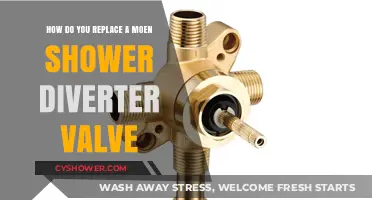 Step-by-Step Guide to Replacing a Moen Shower Diverter Valve