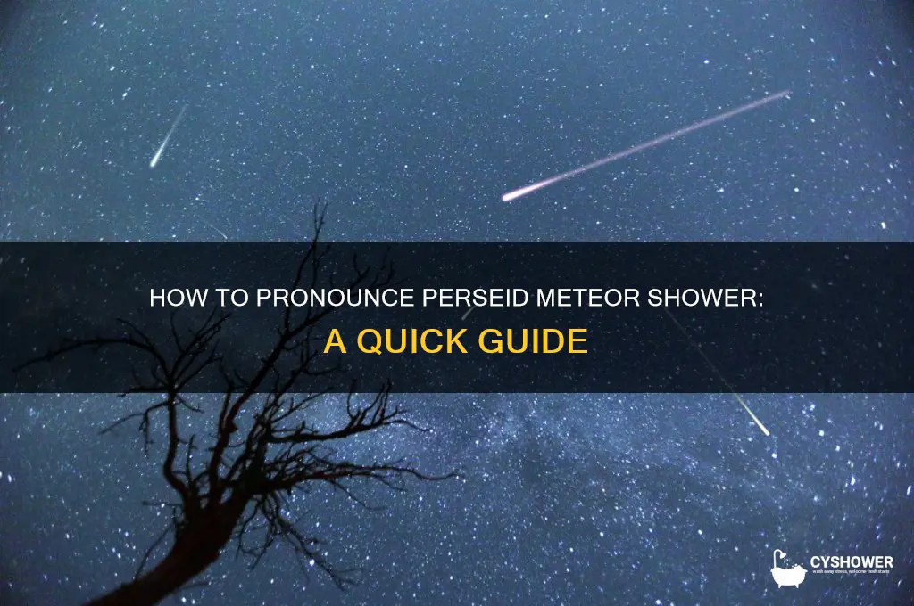 how do you say perseid meteor shower