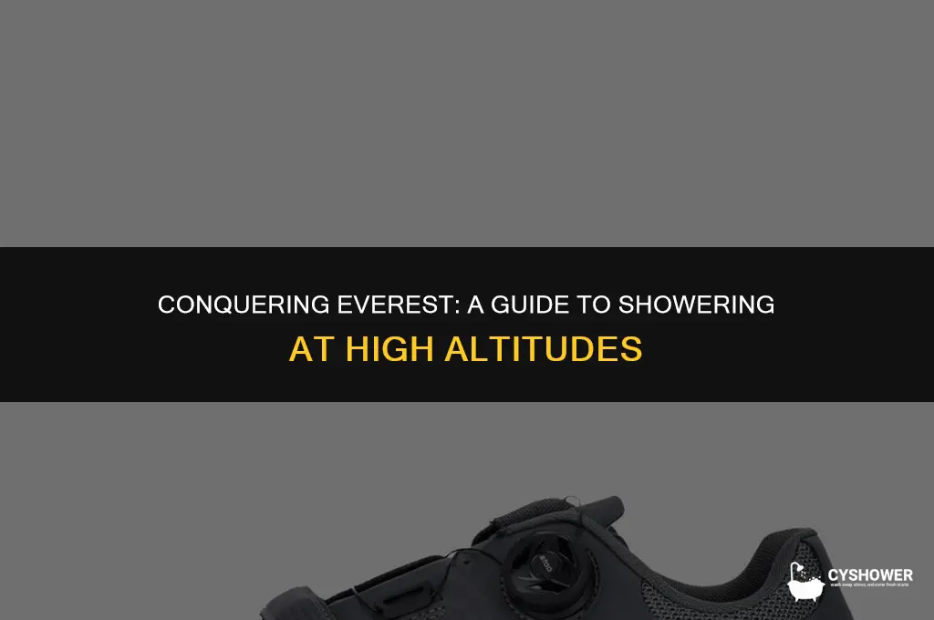 how do you shower everest