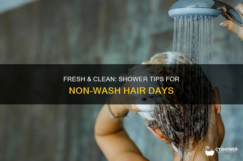 how do you shower on non wash hair days