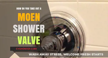 Step-by-Step Guide: Removing a Moen Shower Valve Easily