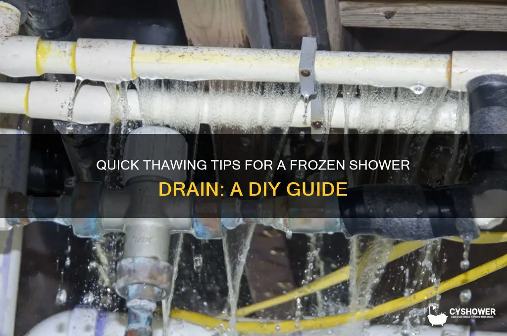 how do you thaw a frozen shower drain
