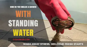 Quick Fixes to Unclog Your Shower and Drain Standing Water