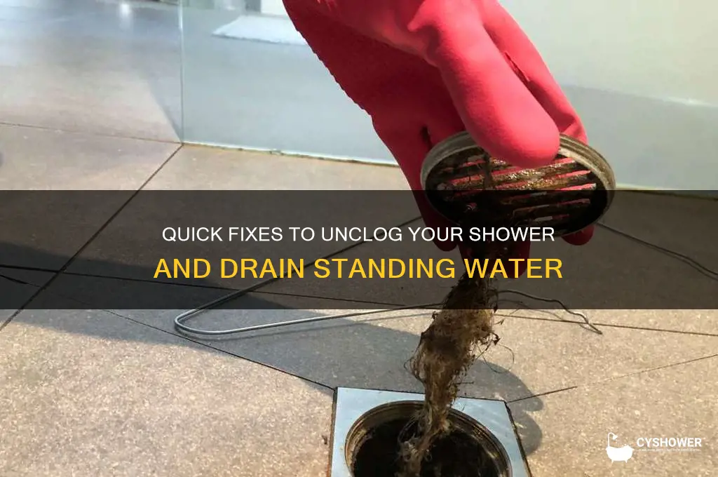 how do you unclog a shower with standing water