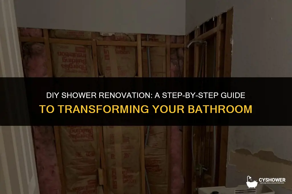 how doable is renovating shower myself