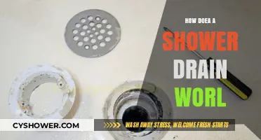 Understanding the Mechanics of a Shower Drain: A Simple Guide