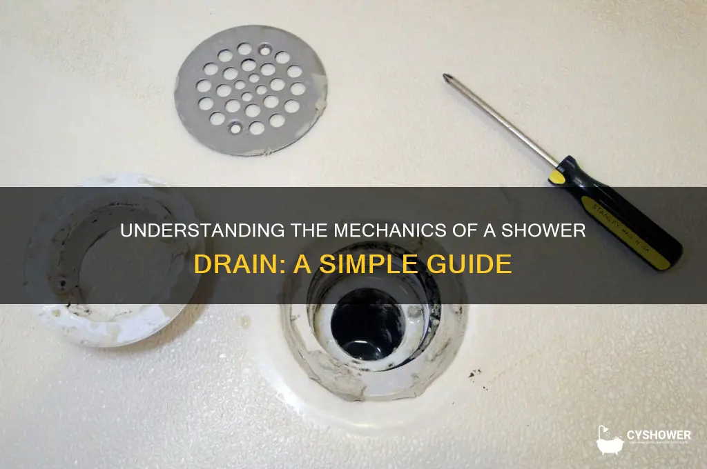 how doea a shower drain worl
