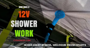 Exploring the Mechanics of a 12V Shower System