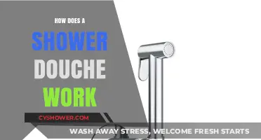 Understanding Shower Douches: A Comprehensive Guide to Their Functionality