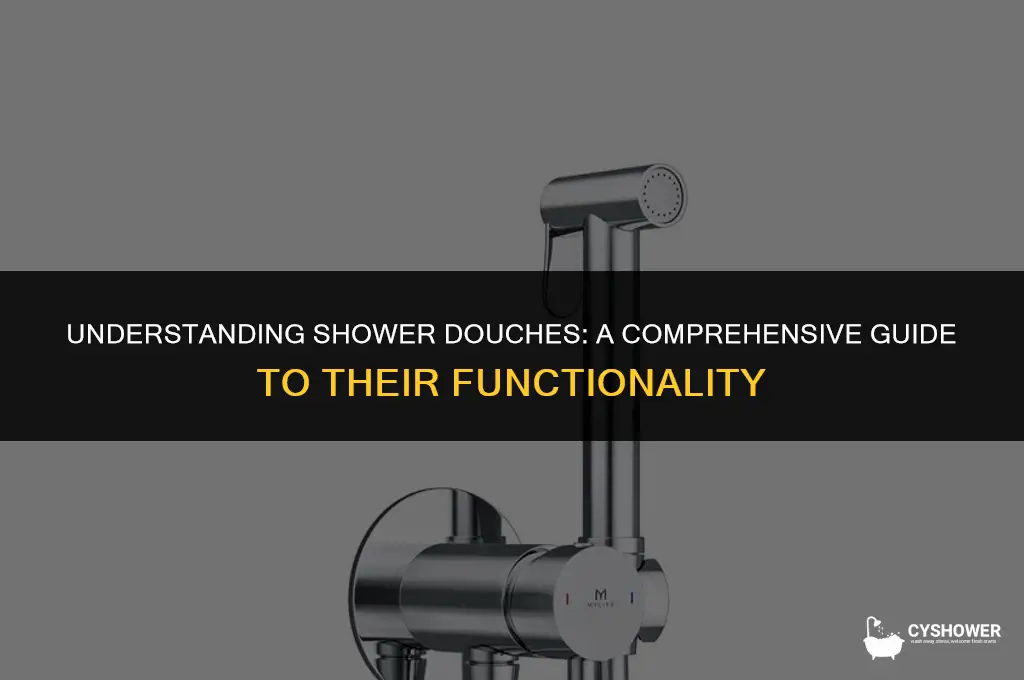how does a shower douche work