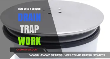 Understanding Shower Drain Traps: Function, Importance, and Maintenance Tips
