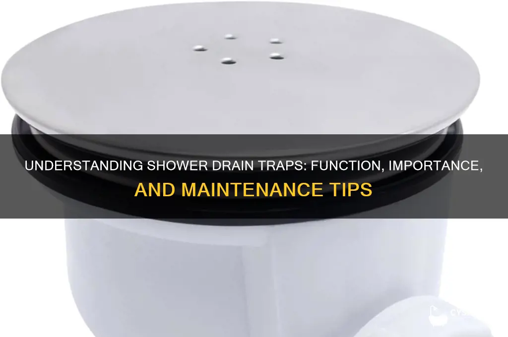 how does a shower drain trap work
