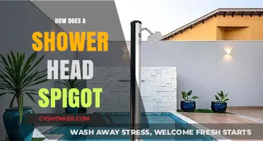 Understanding Shower Head Spigots: Function, Types, and Maintenance Tips