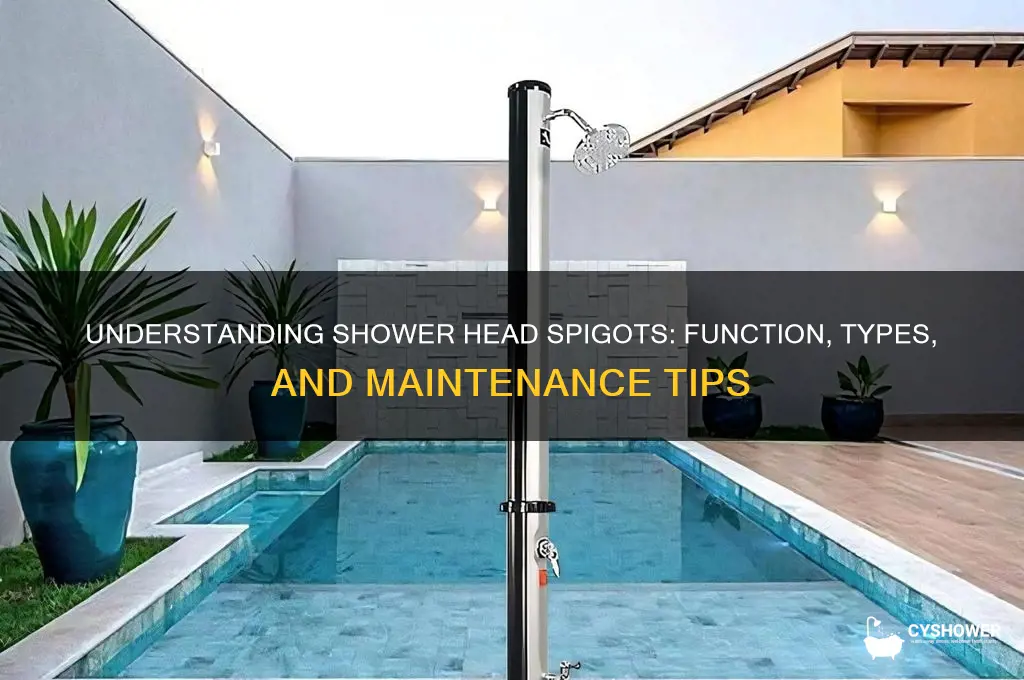 how does a shower head spigot