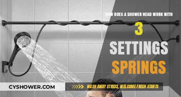 Understanding Shower Heads: 3-Setting Spring Mechanism Explained Simply