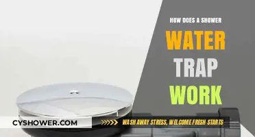 Understanding Shower Water Traps: How They Prevent Sewer Gases