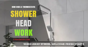 Understanding Thermostatic Shower Heads: Functionality and Temperature Control Explained