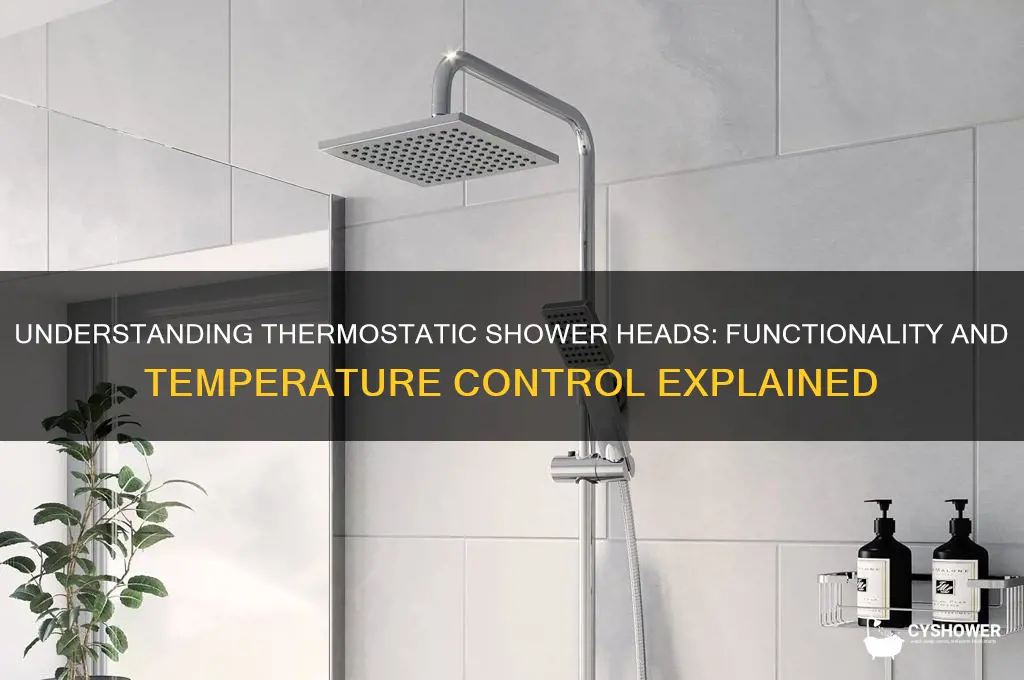 how does a thermostatic shower head work