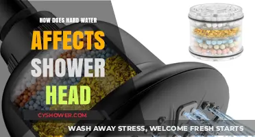 Hard Water's Impact: Clogging and Damaging Your Shower Head Over Time