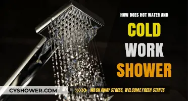 Hot Water vs. Cold Showers: Benefits, Science, and Optimal Use Explained