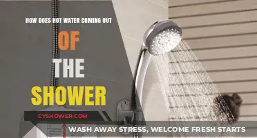 How Hot Water Flows from Your Shower: The Science Explained