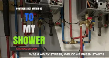 How Hot Water Reaches Your Shower: A Plumbing Journey Explained
