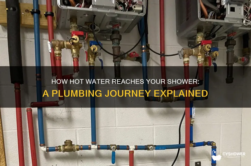 how does hot water go to my shower
