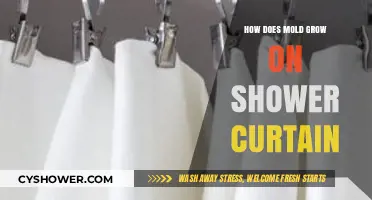 Why Mold Thrives on Shower Curtains and How to Stop It