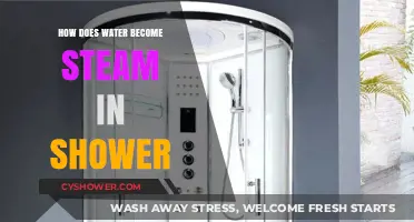 From Shower to Steam: Understanding Water's Transformation in Your Bathroom