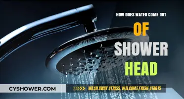 How Shower Heads Work: The Science Behind Water Flow
