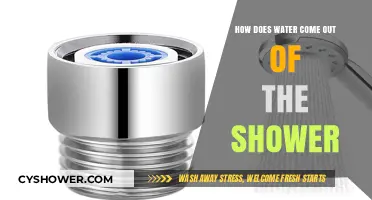 Understanding the Shower's Flow: How Water Reaches Your Showerhead
