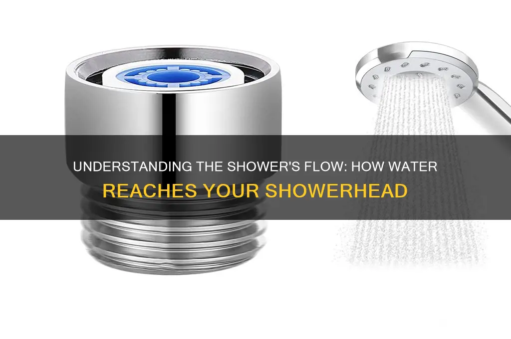 how does water come out of the shower