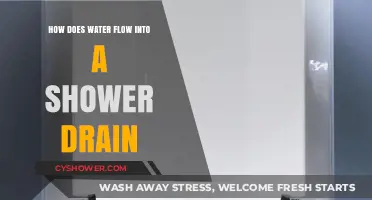 Understanding the Science Behind Shower Drain Water Flow Dynamics