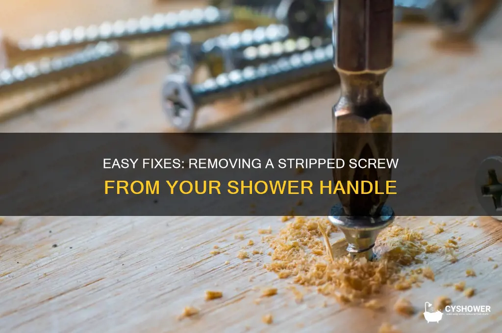 how doni get a strippednscrew out of my shower handle