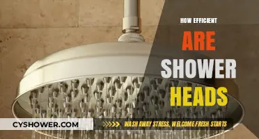 Maximizing Water Efficiency: Evaluating Shower Head Performance and Savings