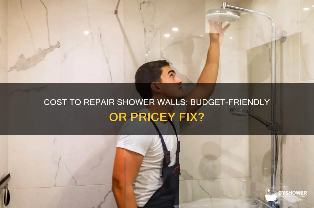 how expensive is it to fix shower walls
