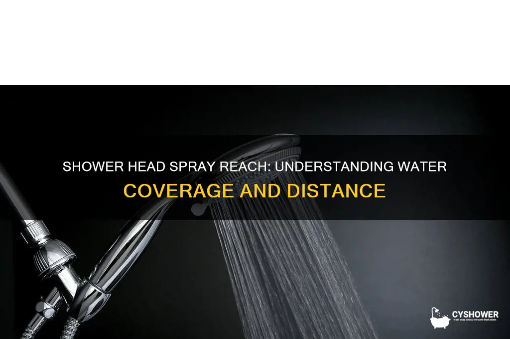how far does a shower head spray