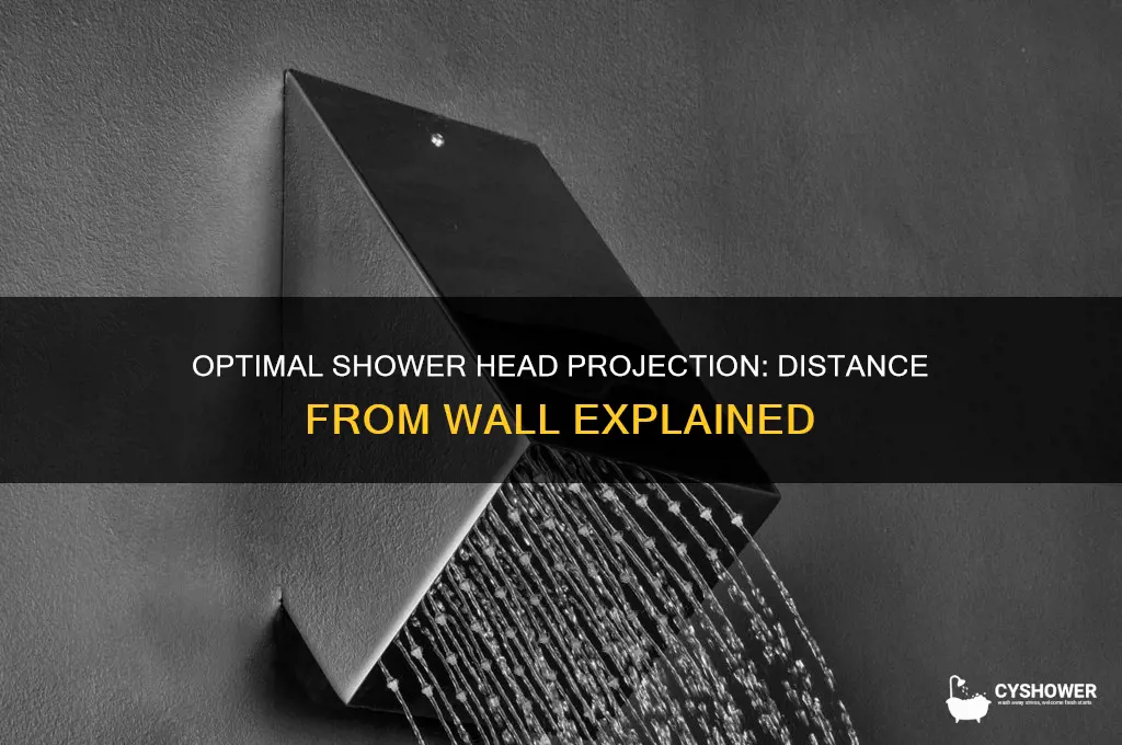how far does shower head project from the wall