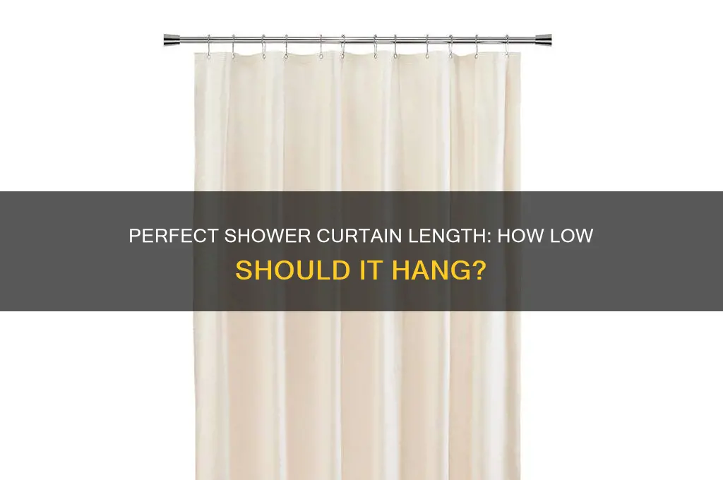 how far down should a shower curtain hang