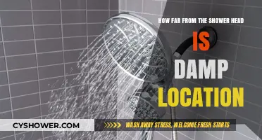 Understanding Damp Locations: Shower Head Distance Explained for Safety