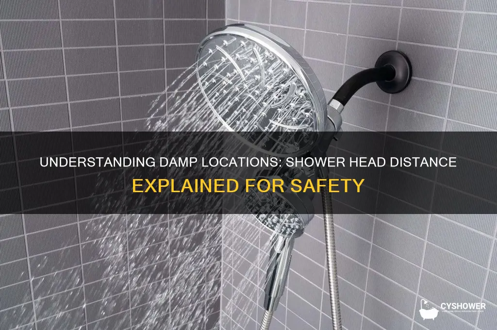 how far from the shower head is damp location